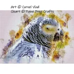 African Grey Parrot (image for) African Grey Parrot